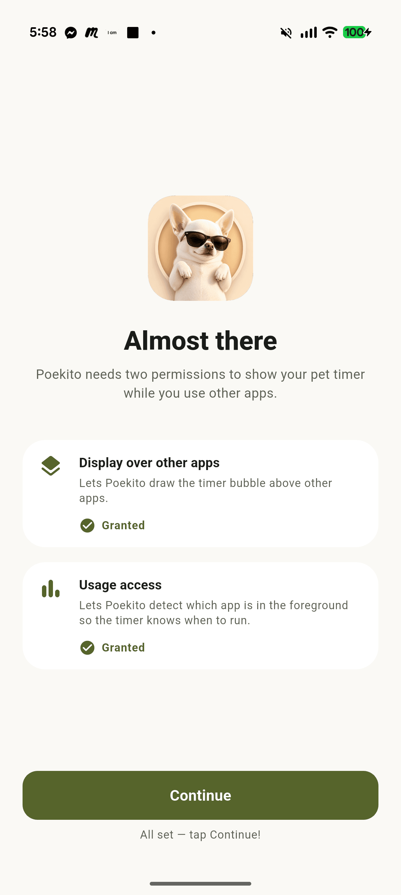 Poekito permission screen explaining display over other apps and usage access