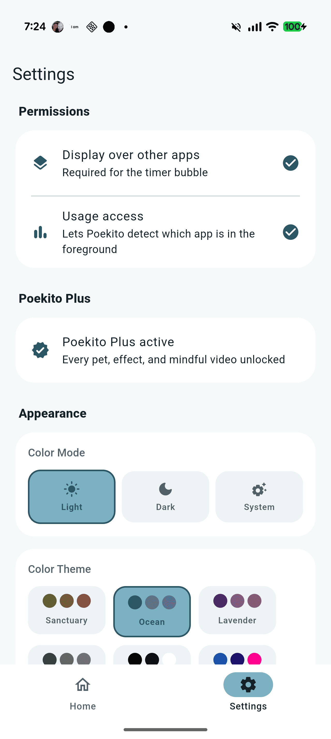 Poekito settings screen with permissions, Plus status, and appearance controls